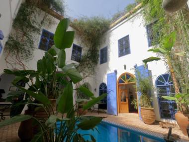 Riad Chameleon