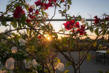 Almaha Marrakech Restaurant & SPA