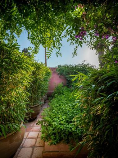 Riad Oasis 3