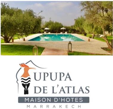 Upupa de l’Atlas