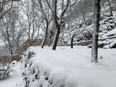 Mountain Paradise Chalet