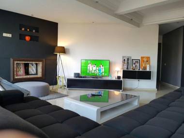 Spacious Modern Penthouse with View