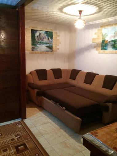 Vasile Alecsandri 60 ap 49