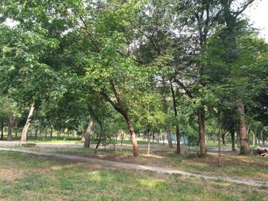 Ion Neculce 1/1Appartamento