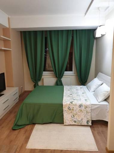 Stefan cel Mare 1 studio