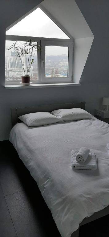 Modern apartment in the center of town