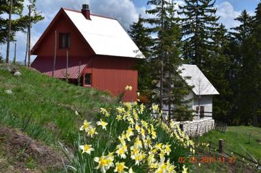 Šepić Accommodation