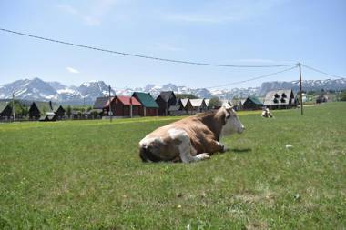 Apartments Avramovic