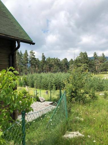 Kuca u borju - House in pines