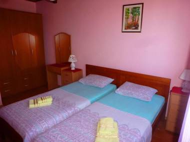 Apartment Djakonovic Mladen