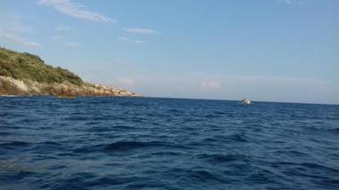 Apartment Vuk i Novak