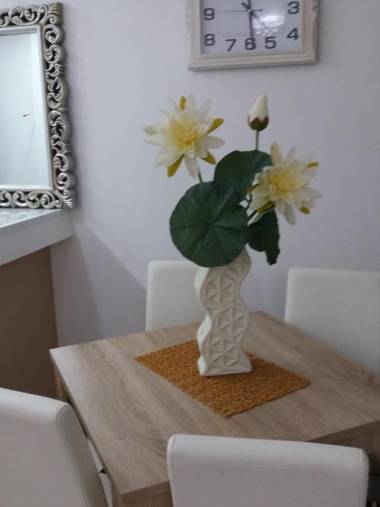 Apartments Pepdjonovic