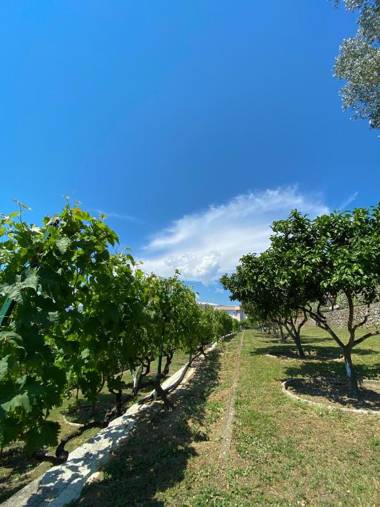 Hilja's Oliven Garden Bungalows