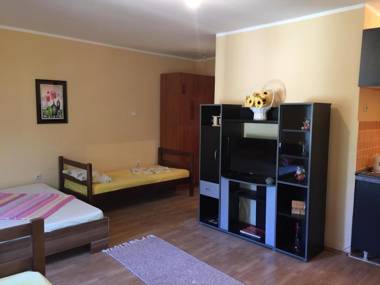 Apartment Davidovic