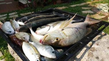 Stone Circle Apartments
