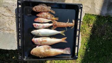 Stone Circle Apartments