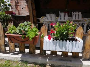 Ninić Family Apartments