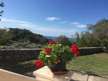 Guest house Dragović