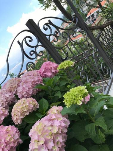 Apartments Aleksandar