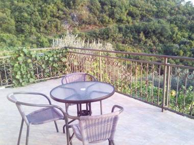 Apartments Mitrović Podličak