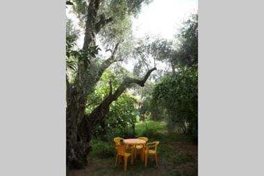 BMV TRIPLE ROOM WITH BALCONY