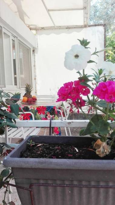 Apartments Gvozdenović