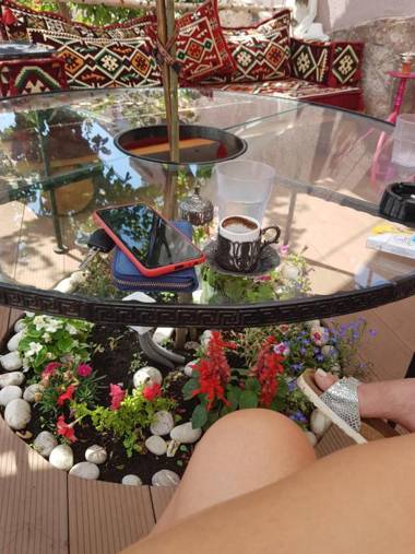 Guest House Dena