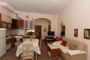 Apartment Plamenac