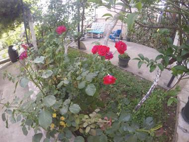 Holiday Home Free your mind