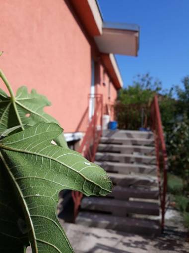 Apartment Lazar & Marco