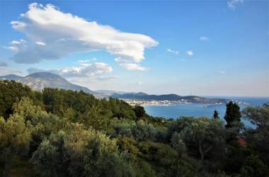 Green Villa in Olives