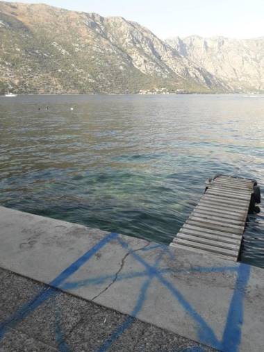 Apartmants Alexander