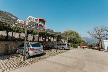 Acacia summer holiday