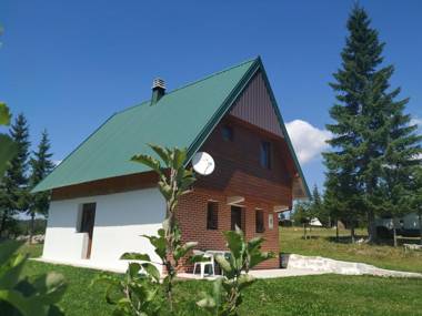 House in forest