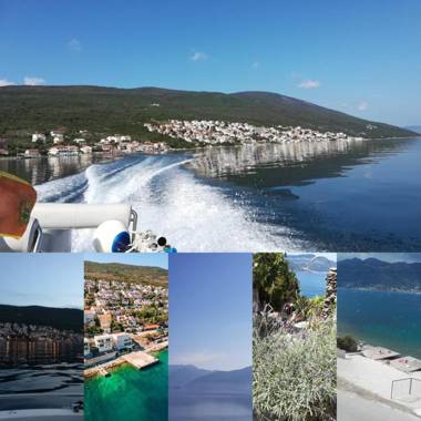 Apartments Obradovic