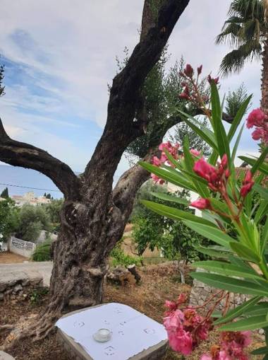 Apartman Veliki Pijesak