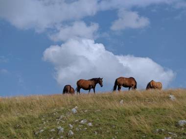 Ethno Village Štitarica