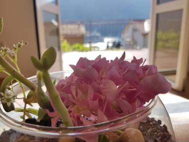 Apartments Lazarević