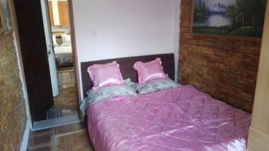 Apartman Studio Nedović