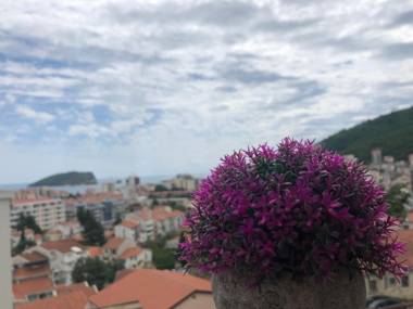 Kaluđerović apartment