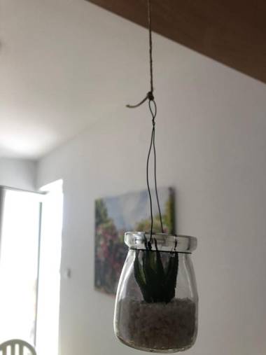 Kaluđerović apartment