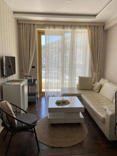 Luxury apartment in Victoria Palace Budva center