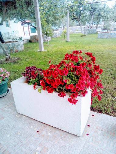 Apartments Maxi Katić