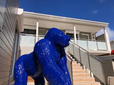 Sunshine SXM Studios