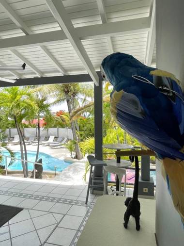 Résidence Adam et Eve