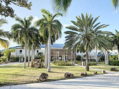 Pop Up SXM - Anse Marcel beach - wifi 200Mbps