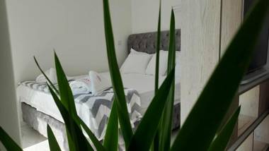 Luxury Apartment IVA