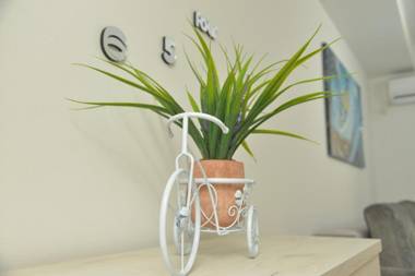 Stylish Blue & Modern Apartment