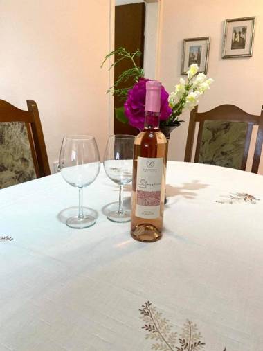 Family Apartment Ivanovic