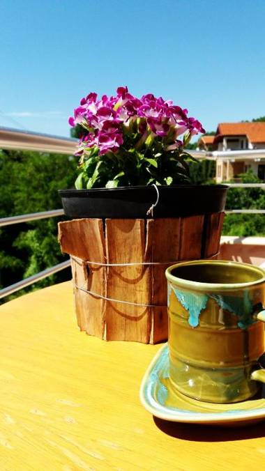 PS Apartments - Peshtani